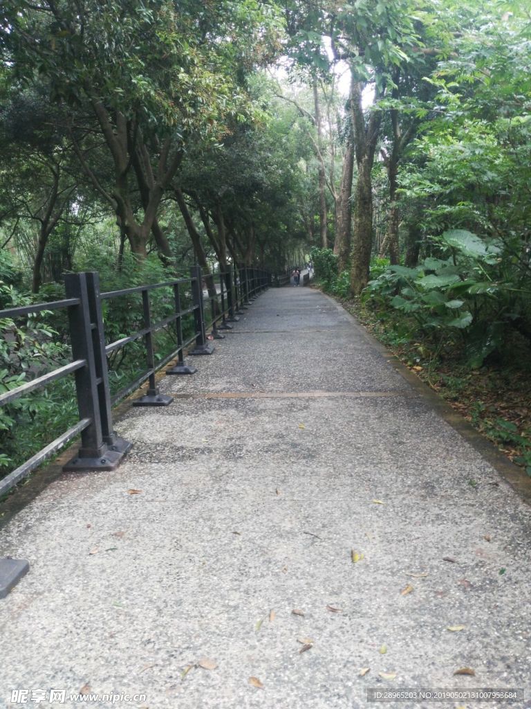 道路
