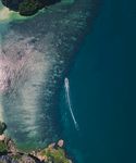 海