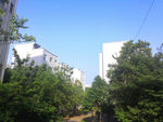 万里无云