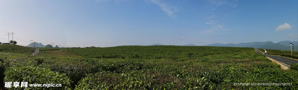 江华牛牯岭茶场