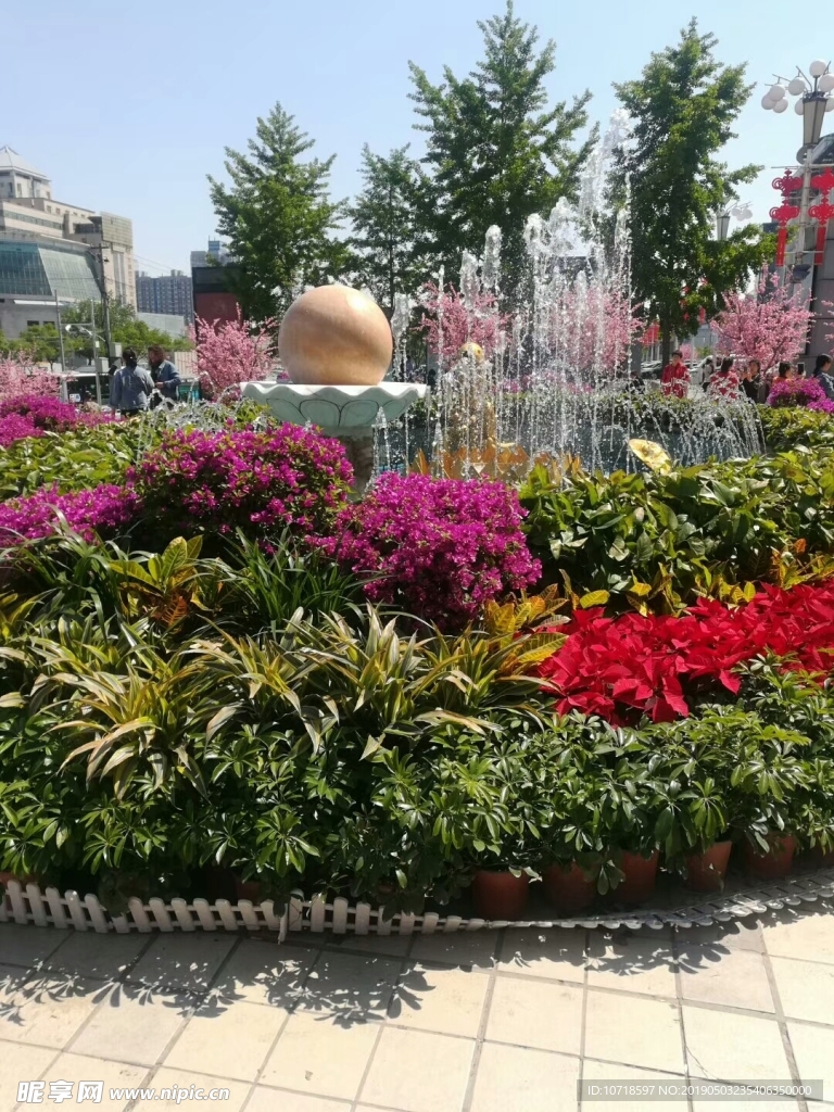 花草树木