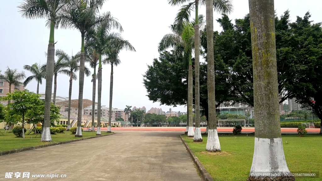 户外景观