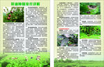 茶油种植技术