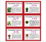 花卉苗木简介