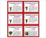 花卉苗木简介