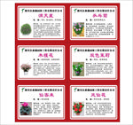 花卉苗木简介