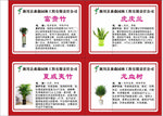 花卉苗木简介
