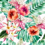 花卉印花