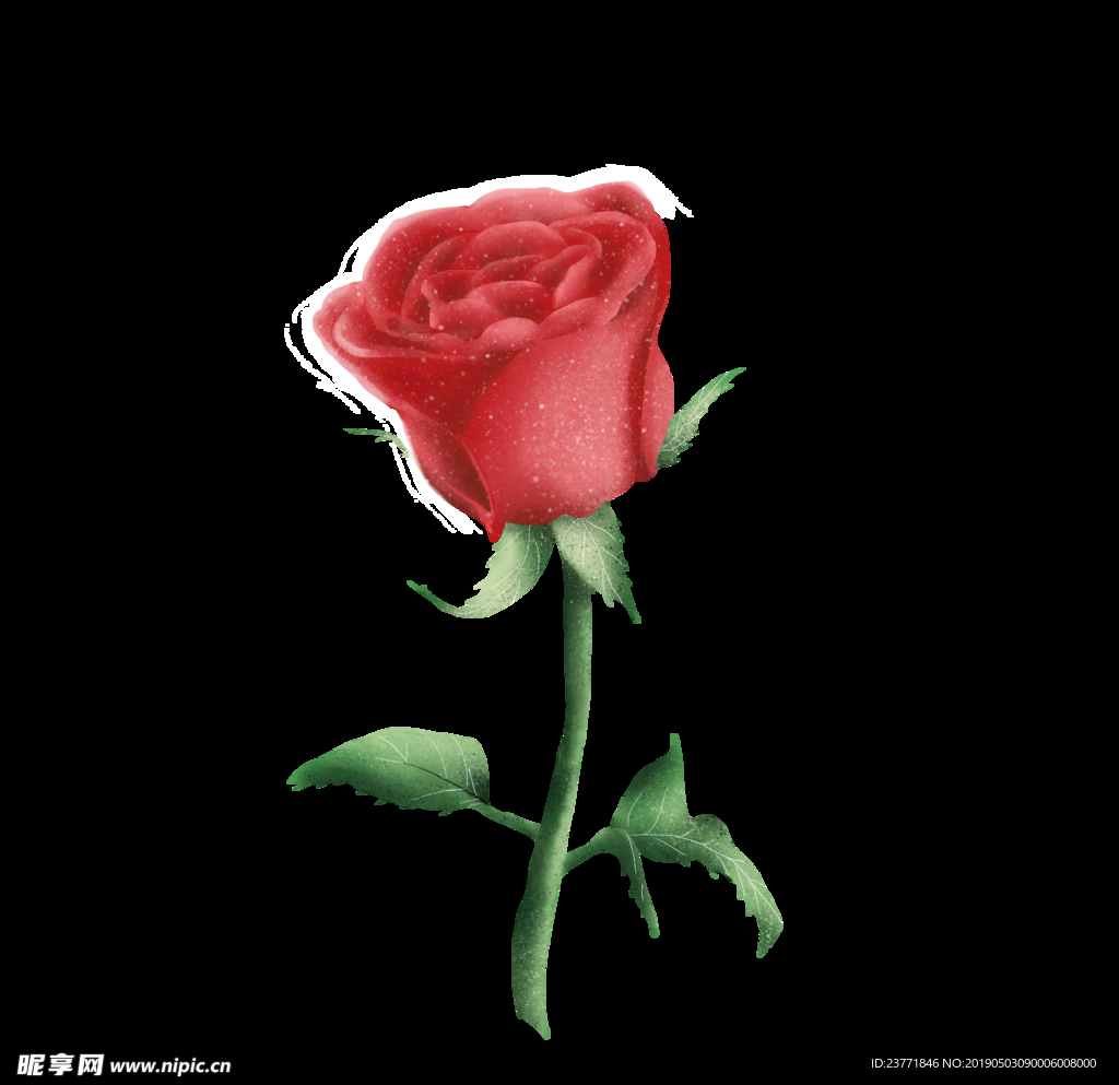 玫瑰花