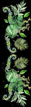 植物png免扣素材