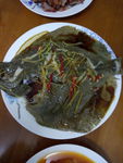 鱼