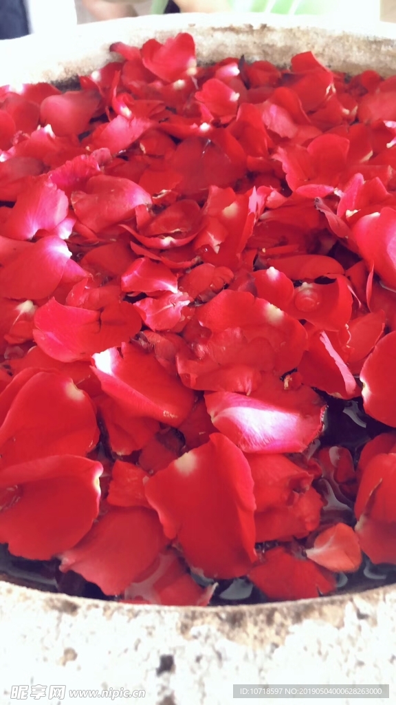 玫瑰花瓣