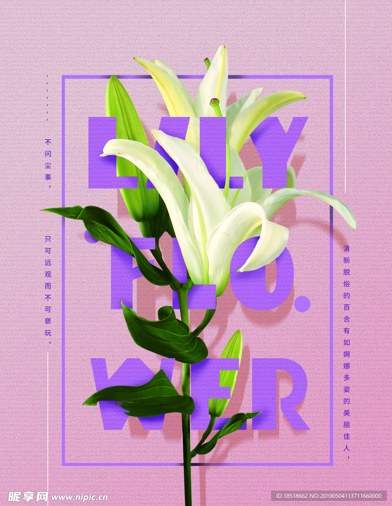 手绘重阳节百合花