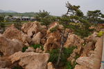 假山