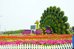 花坛