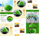 裙带菜海带淘宝详情图
