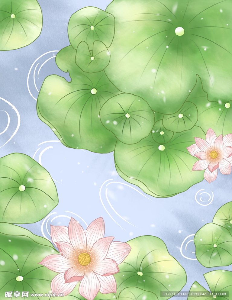 荷花背景