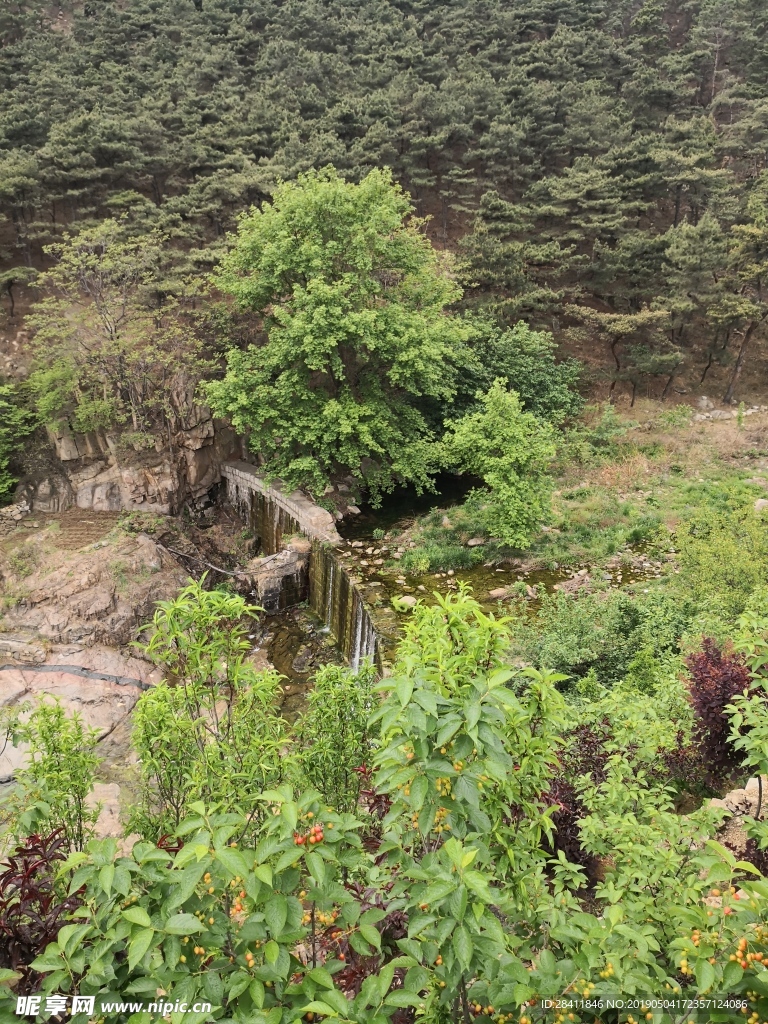 泰安 泰山 天平湖公园 公园