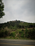 泰安 泰山 天平湖公园 公园