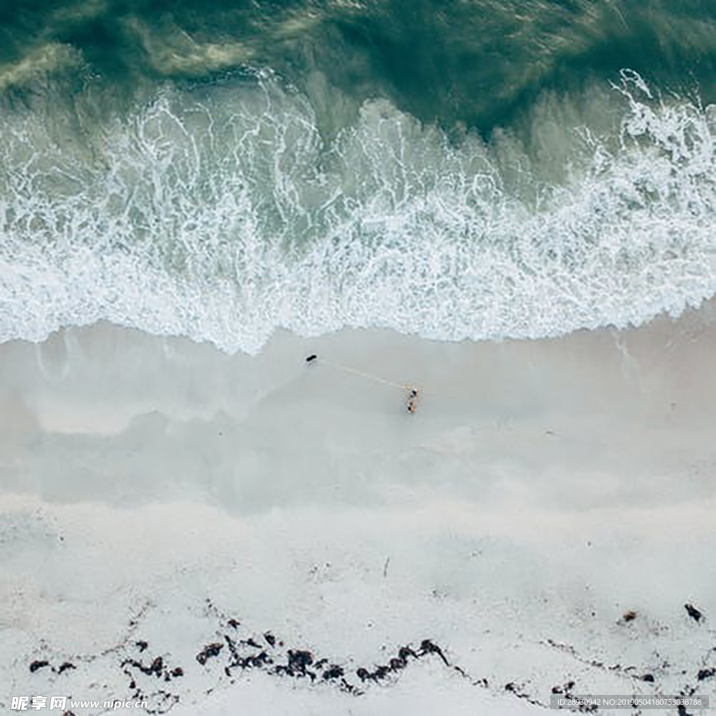 海洋