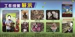 展示成果