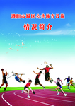 体育