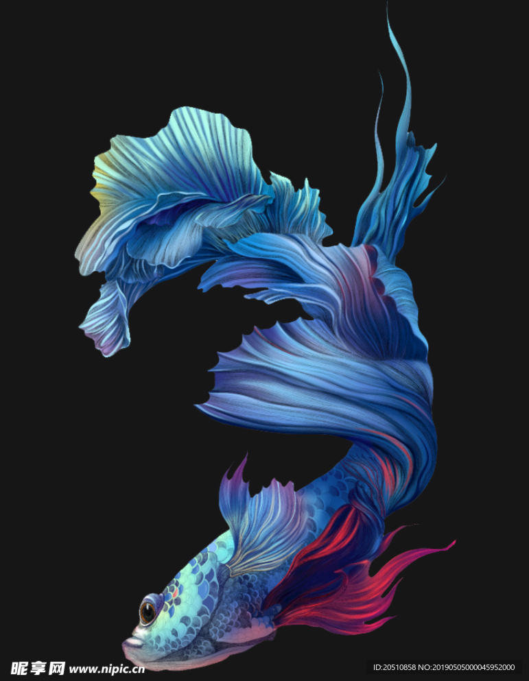 斗鱼PNG
