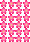 粉色樱花  樱花矢量图
