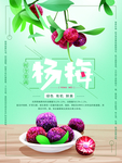 杨梅海报