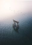 轮渡