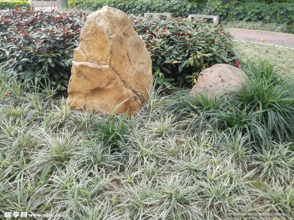 草坪