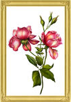 花朵无框画