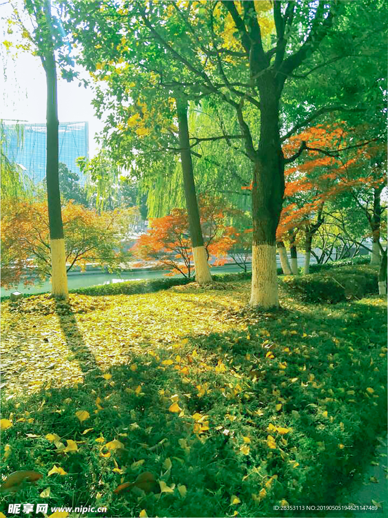 风景