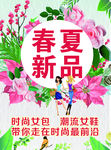 春夏新品