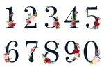 鲜花数字