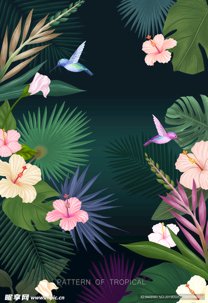 鸟