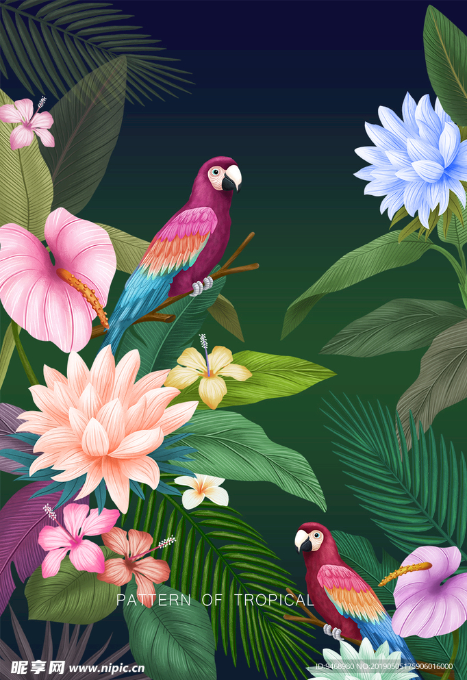 鸟