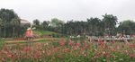 广州云台花园绝美风景