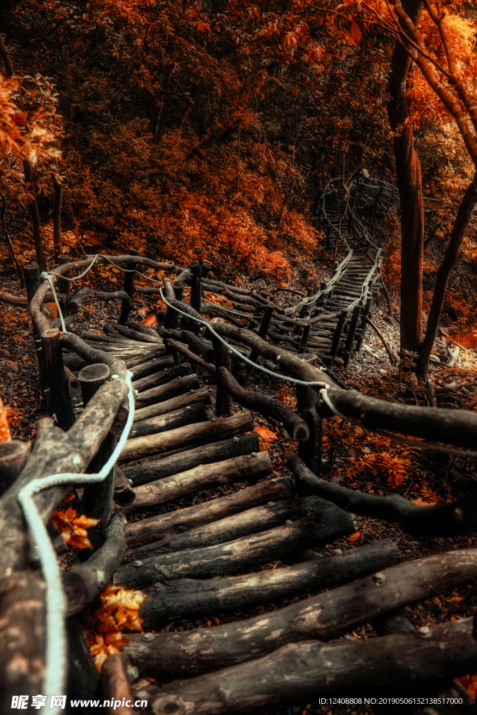 山间小路