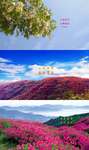 立夏