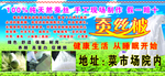 蚕丝被