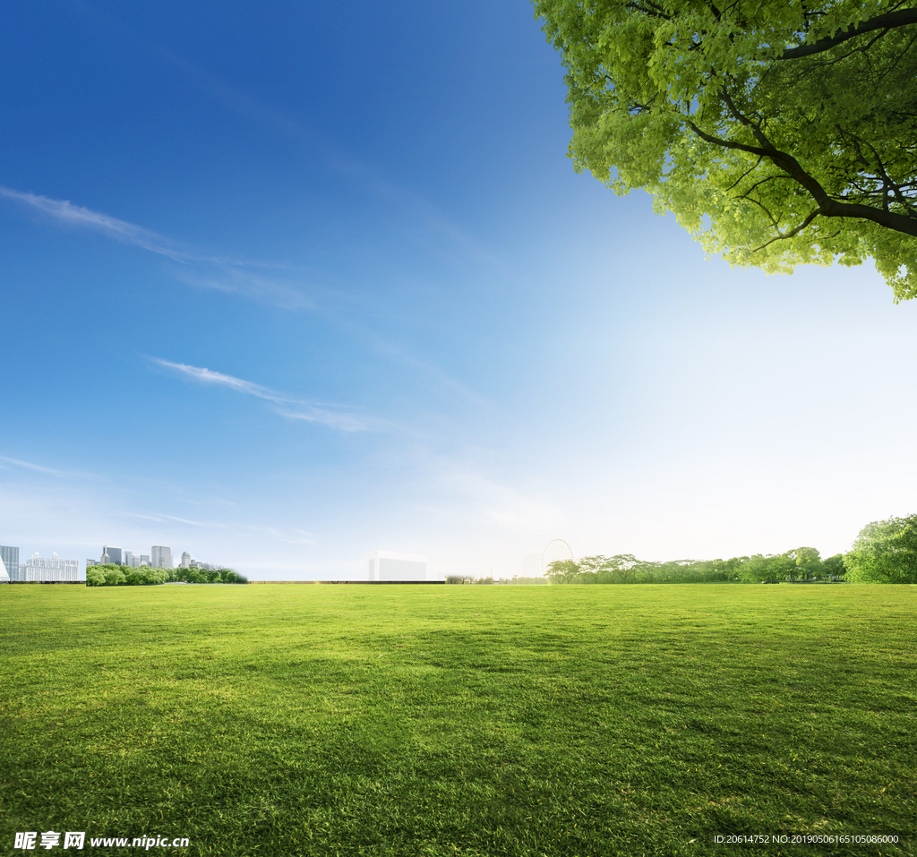 蓝天下的草原风景