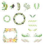 手绘插画植物绿叶花