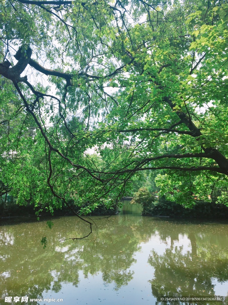 山水自然