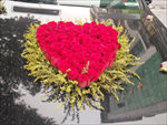 玫瑰花婚车