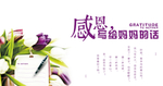 母亲节