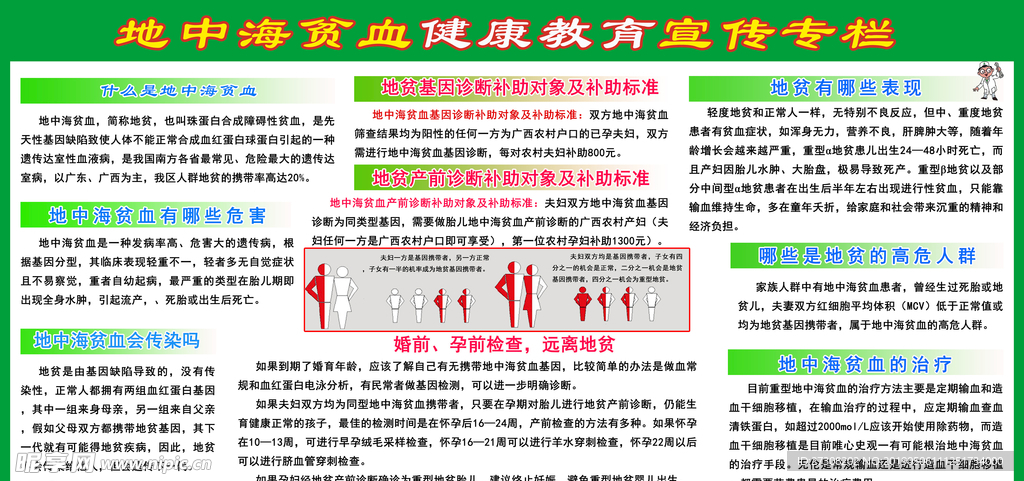 地中海贫血健康教育宣传