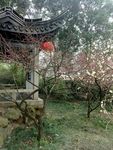 锡惠名胜区
