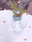 透明的玻璃杯