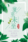 夏至